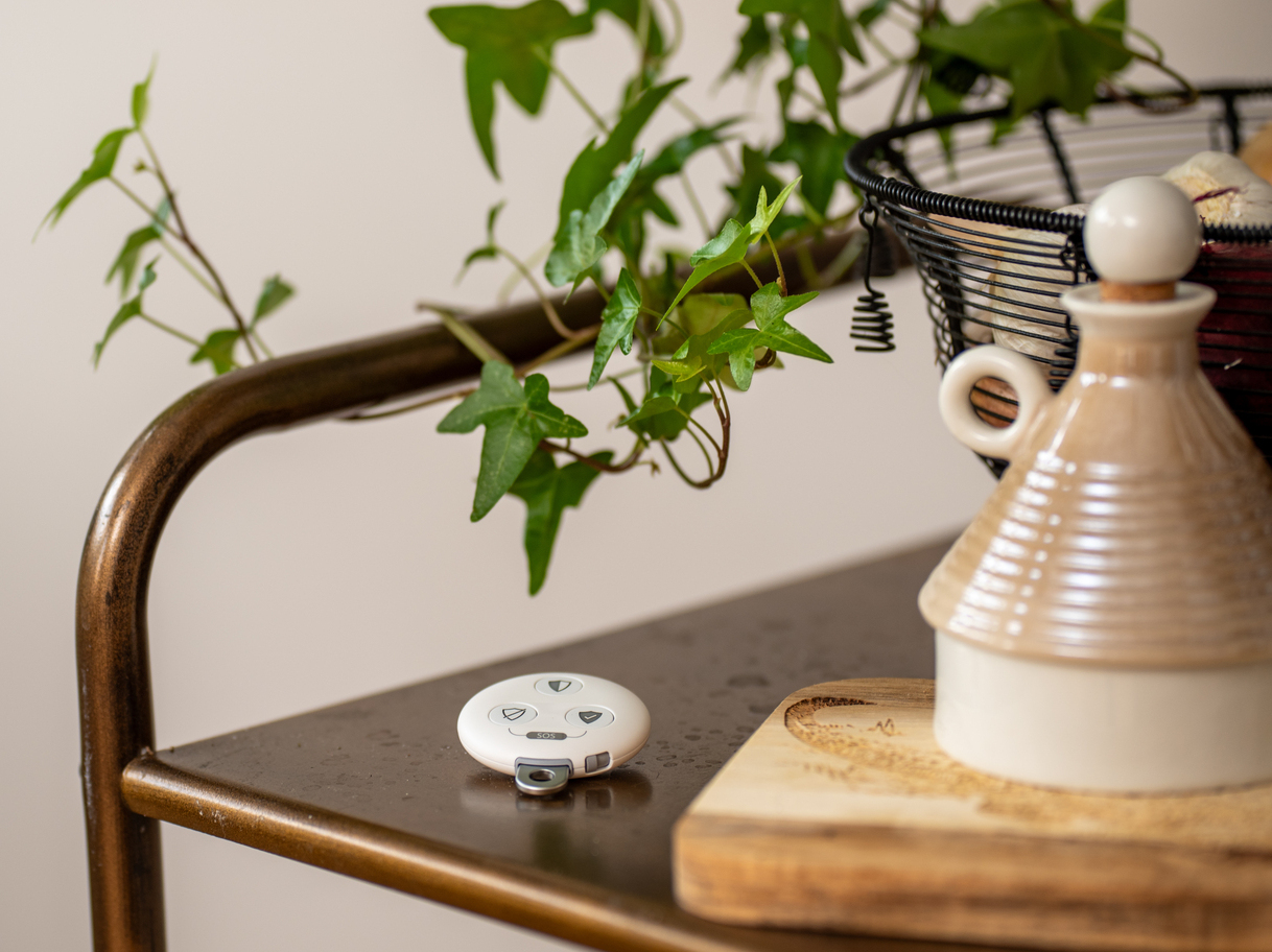 Verisure Smart Remote placed on a table in a home environment, next to decorative plants and household items.